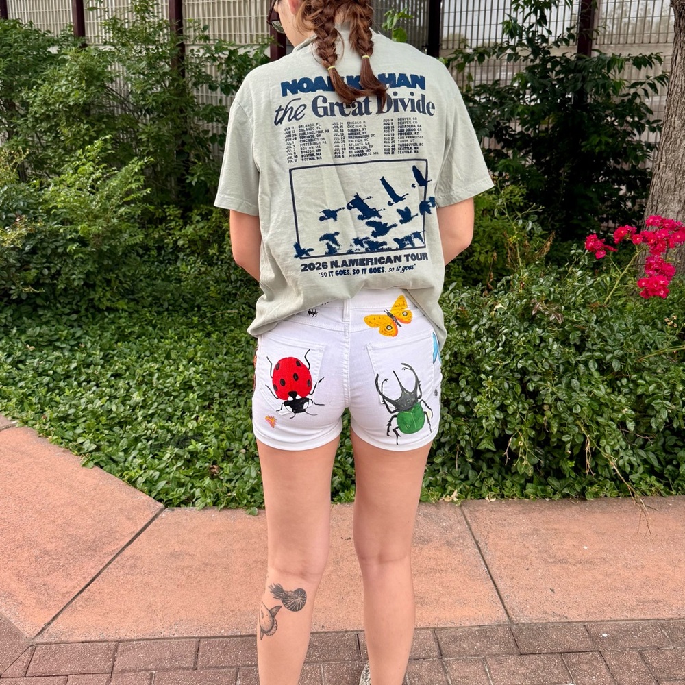 Noah Kahan Inspired Insect Denim Shorts